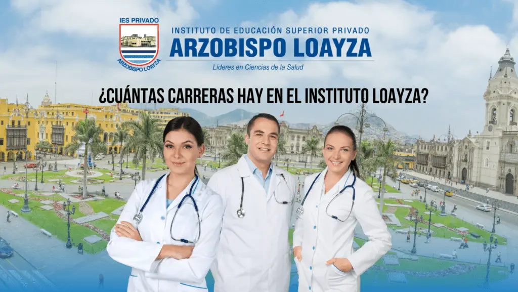 instituto Loayza