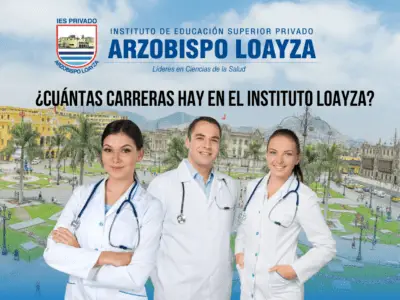 instituto Loayza
